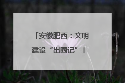 安徽肥西：文明建设“出圈记”