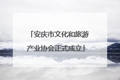 安庆市文化和旅游产业协会正式成立