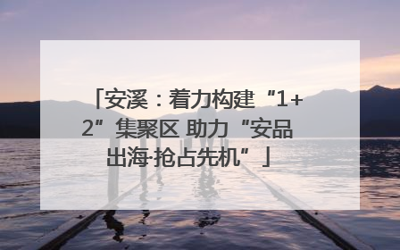 安溪：着力构建“1+2”集聚区 助力“安品出海·抢占先机”
