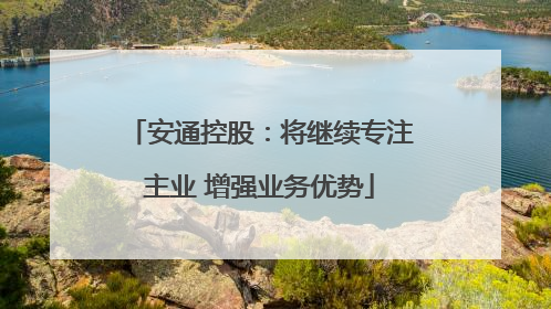 安通控股：将继续专注主业 增强业务优势