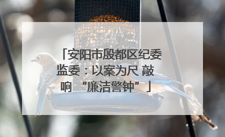 安阳市殷都区纪委监委：以案为尺 敲响 “廉洁警钟”