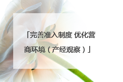 完善准入制度 优化营商环境（产经观察）