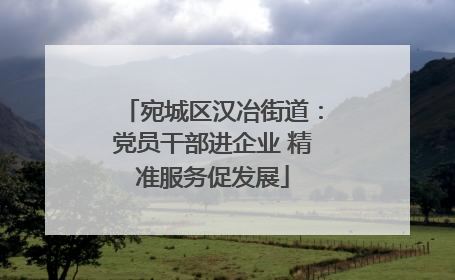 宛城区汉冶街道：党员干部进企业 精准服务促发展