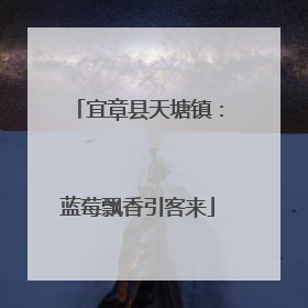 宜章县天塘镇：蓝莓飘香引客来