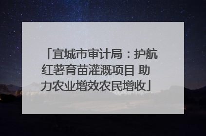 宜城市审计局：护航红薯育苗灌溉项目 助力农业增效农民增收