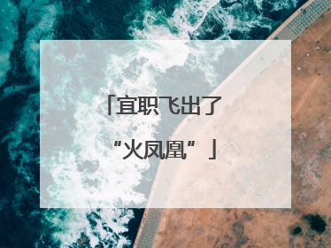 宜职飞出了“火凤凰”