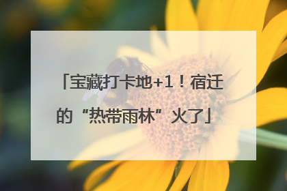 宝藏打卡地+1！宿迁的“热带雨林”火了