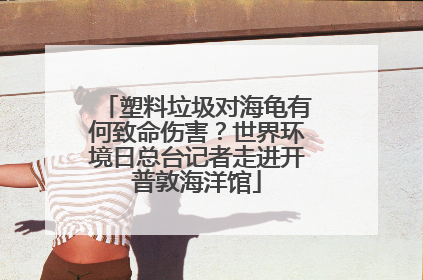塑料垃圾对海龟有何致命伤害？世界环境日总台记者走进开普敦海洋馆
