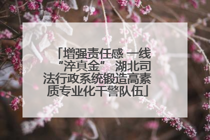 增强责任感 一线“淬真金” 湖北司法行政系统锻造高素质专业化干警队伍