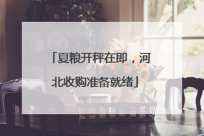 夏粮开秤在即，河北收购准备就绪