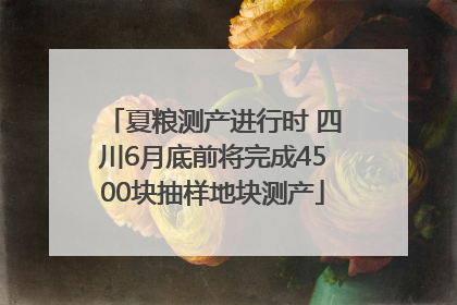 夏粮测产进行时 四川6月底前将完成4500块抽样地块测产