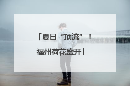 夏日“顶流”！福州荷花盛开