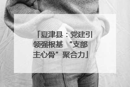 夏津县：党建引领强根基 “支部主心骨”聚合力