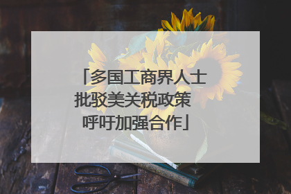 多国工商界人士批驳美关税政策 呼吁加强合作