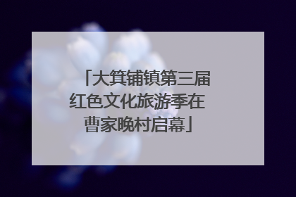 大箕铺镇第三届红色文化旅游季在曹家晚村启幕
