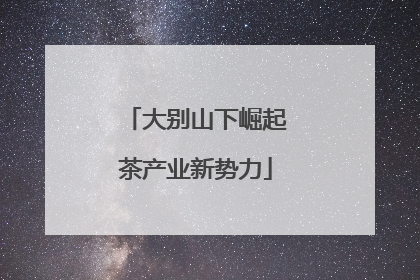 大别山下崛起茶产业新势力