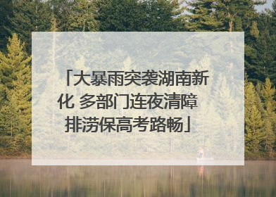 大暴雨突袭湖南新化 多部门连夜清障排涝保高考路畅