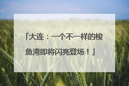 大连：一个不一样的梭鱼湾即将闪亮登场！