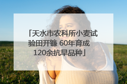 天水市农科所小麦试验田开镰 60年育成120余抗旱品种