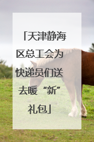 天津静海区总工会为快递员们送去暖“新”礼包