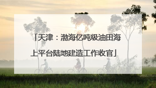 天津：渤海亿吨级油田海上平台陆地建造工作收官