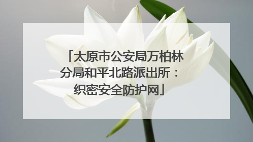 太原市公安局万柏林分局和平北路派出所：织密安全防护网