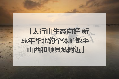 太行山生态向好 新成年华北豹个体扩散至山西和顺县城附近