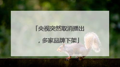 央视突然取消播出，多家品牌下架