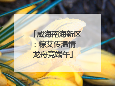 威海南海新区：粽艾传温情 龙舟竞端午