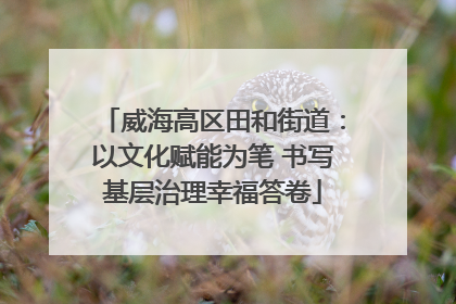 威海高区田和街道：以文化赋能为笔 书写基层治理幸福答卷