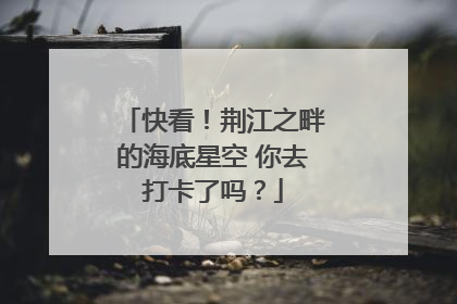 快看！荆江之畔的海底星空 你去打卡了吗？
