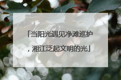 当阳光遇见净滩巡护，湘江泛起文明的光