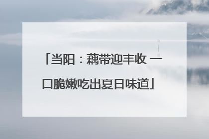 当阳：藕带迎丰收 一口脆嫩吃出夏日味道