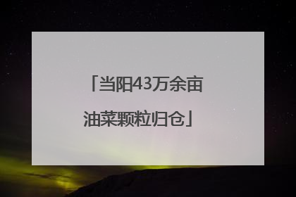 当阳43万余亩油菜颗粒归仓
