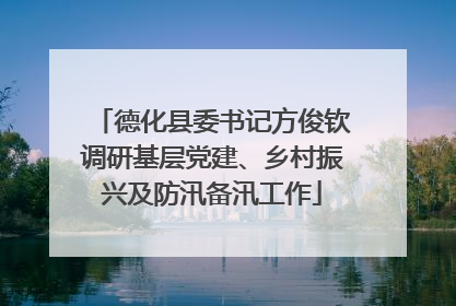 德化县委书记方俊钦调研基层党建、乡村振兴及防汛备汛工作