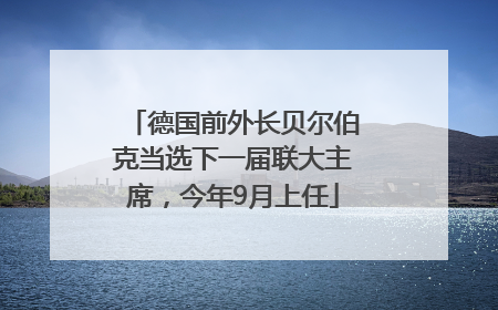 德国前外长贝尔伯克当选下一届联大主席，今年9月上任