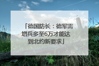 德国防长：德军需增兵多至6万才能达到北约新要求