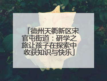 德州天衢新区宋官屯街道：研学之旅让孩子在探索中收获知识与快乐