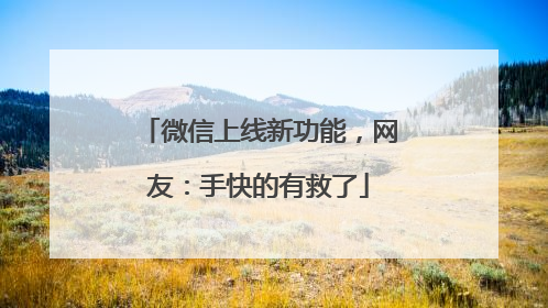 微信上线新功能，网友：手快的有救了