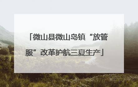 微山县微山岛镇“放管服”改革护航三夏生产