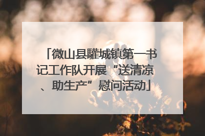 微山县驩城镇第一书记工作队开展“送清凉、助生产”慰问活动