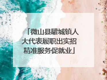 微山县驩城镇人大代表履职出实招精准服务促就业