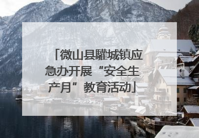 微山县驩城镇应急办开展“安全生产月”教育活动