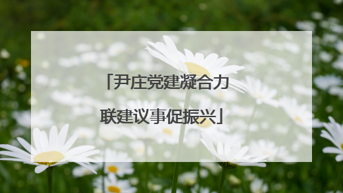 尹庄党建凝合力 联建议事促振兴
