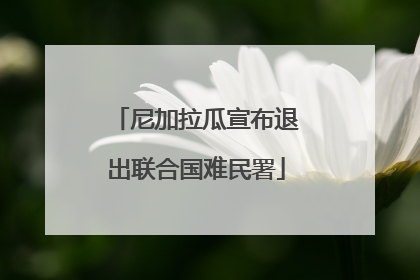 尼加拉瓜宣布退出联合国难民署