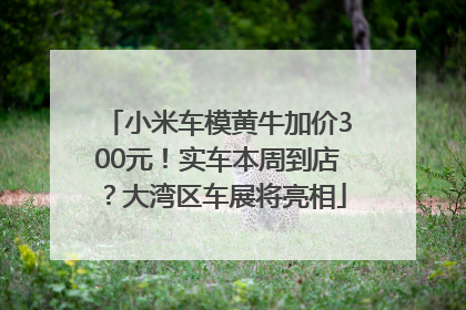小米车模黄牛加价300元！实车本周到店？大湾区车展将亮相
