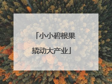 小小碧根果撬动大产业