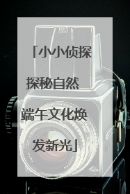 小小侦探探秘自然 端午文化焕发新光