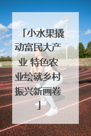 小水果撬动富民大产业 特色农业绘就乡村振兴新画卷