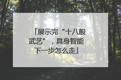 展示完“十八般武艺”，具身智能下一步怎么走